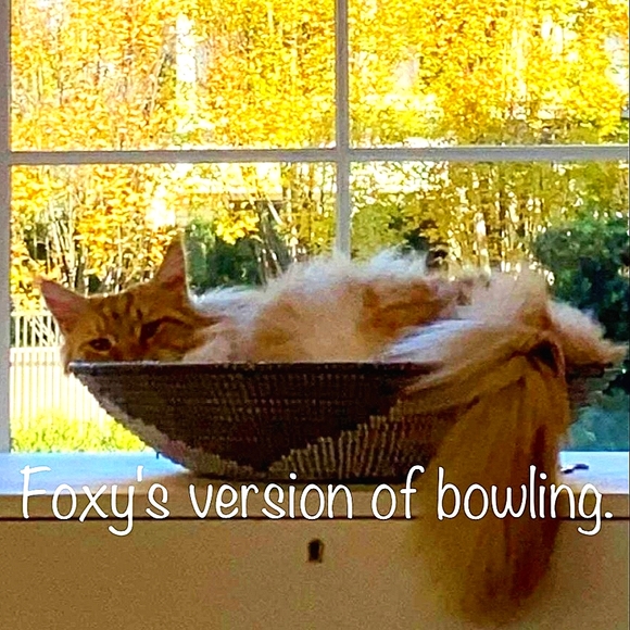 Meet the boys! - Picture 8 of 13